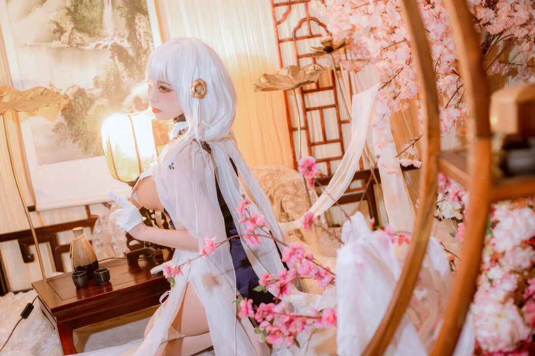 Coser@二佐Nisa – 碧蓝航线-天狼星旗袍 (26P)