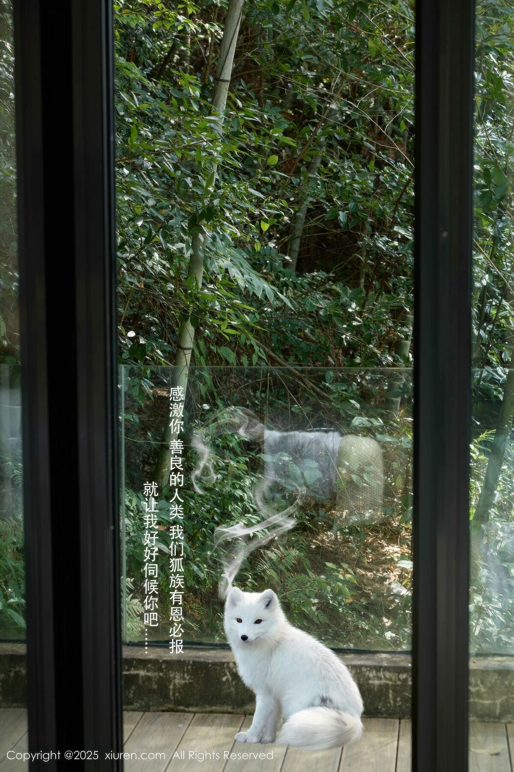 XiuRen秀人网 No.11068 Yin Tian Tian Sunny (56P)