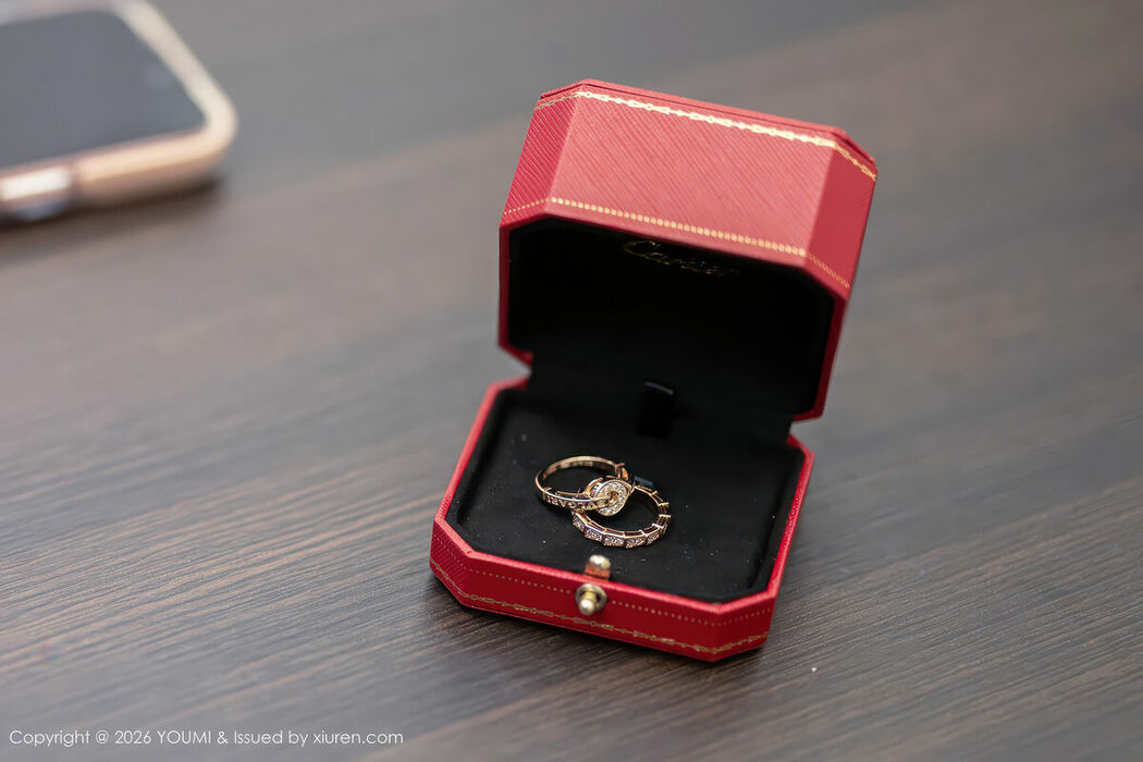 YouMi尤蜜荟 Vol.1198 Twins Tao Tao (91P)