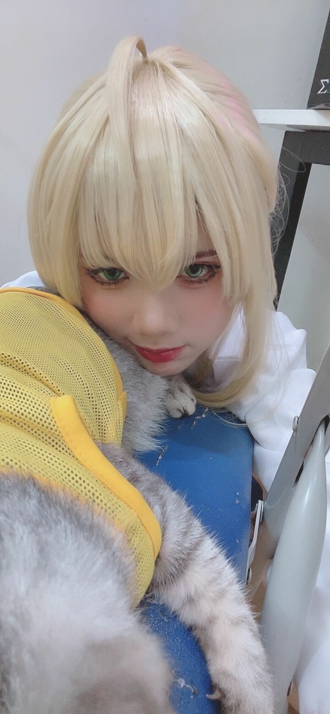 Coser@PoppaChan – Artoria Pendragon Fate Part01 (63P – 10V)