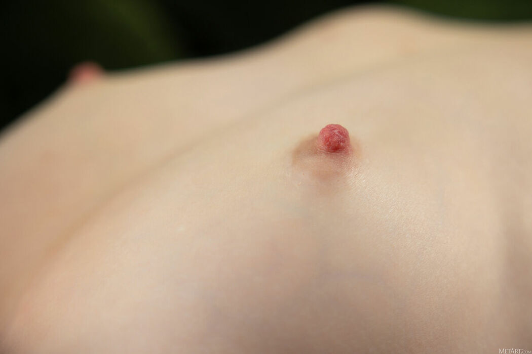 MetArt Julia Morozzi – Playful Passion Part01 (48P)