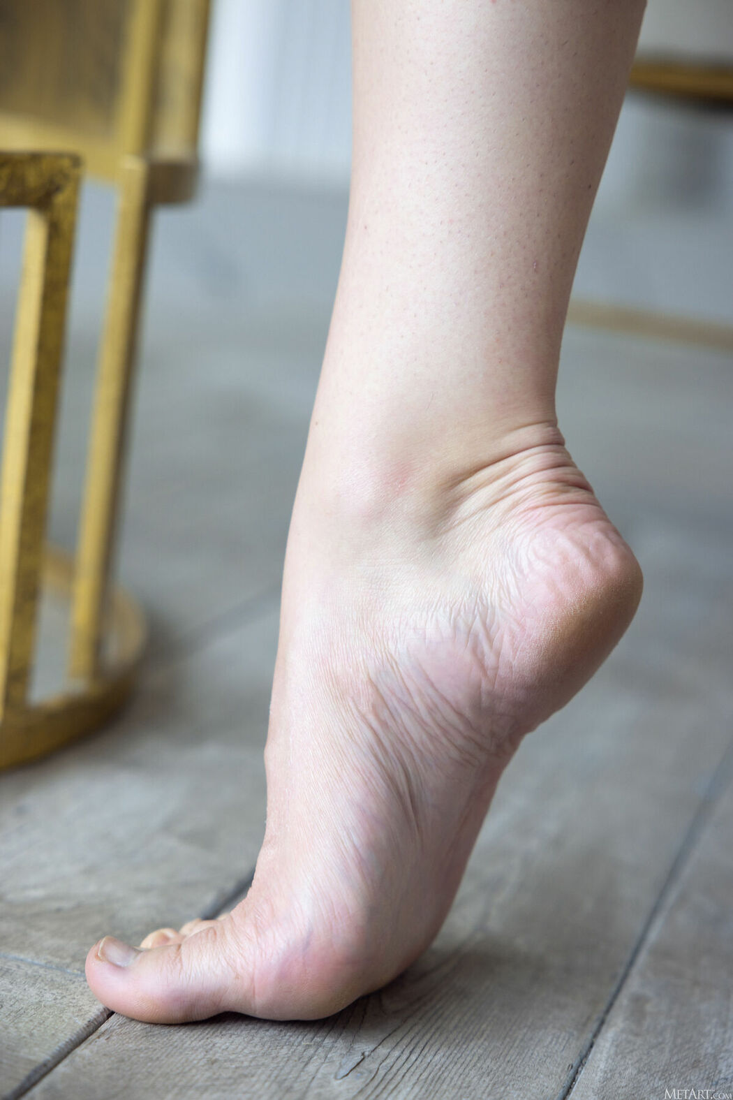 MetArt Lila Rouge – Ginger and Gold Part01 (65P)