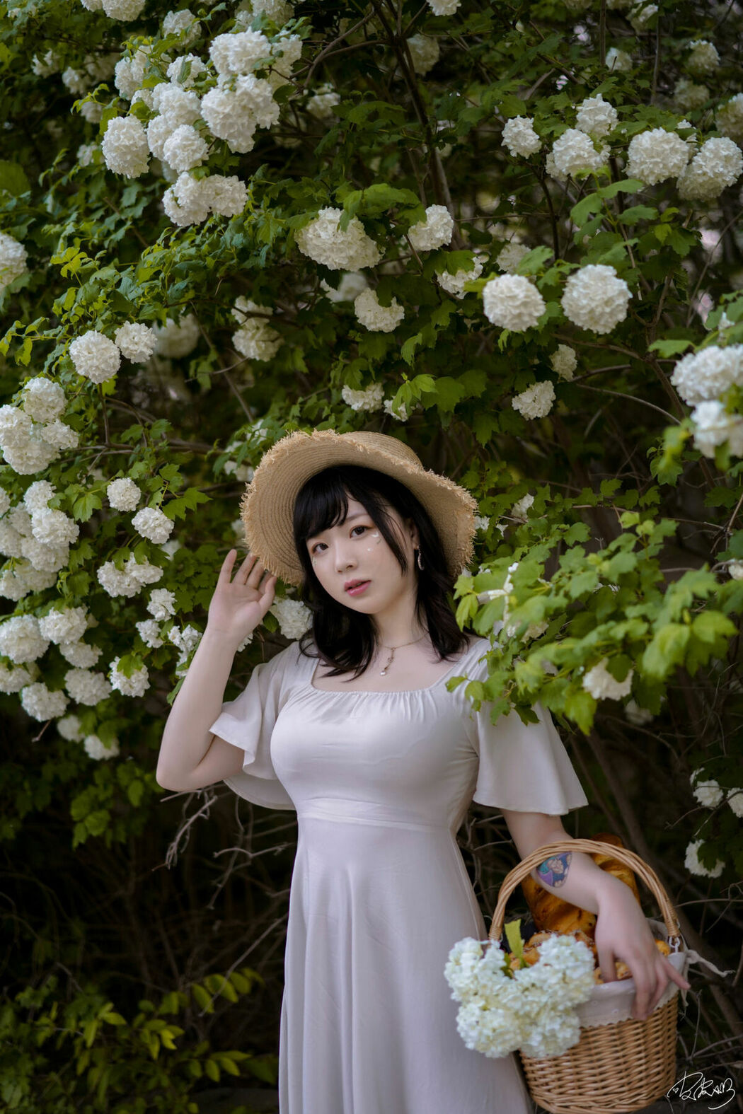 Coser@皮皮奶可可爱了啦 – 绣球花 (37P)