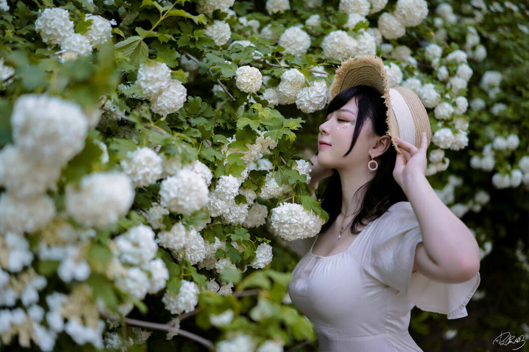 Coser@皮皮奶可可爱了啦 – 绣球花 (37P)