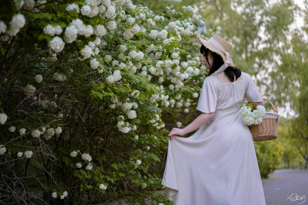 Coser@皮皮奶可可爱了啦 – 绣球花 (37P)