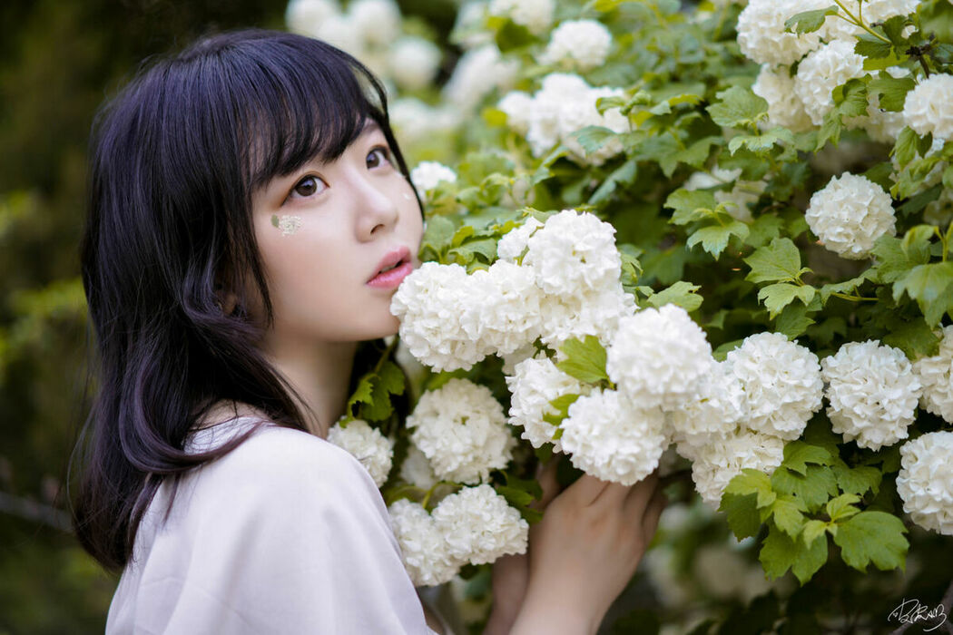 Coser@皮皮奶可可爱了啦 – 绣球花 (37P)