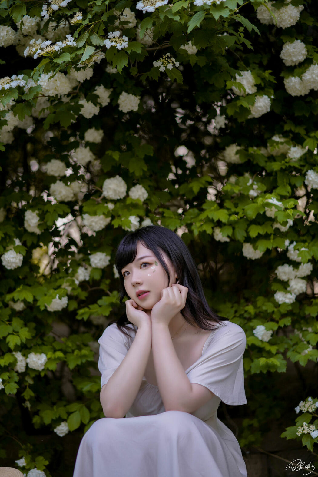 Coser@皮皮奶可可爱了啦 – 绣球花 (37P)