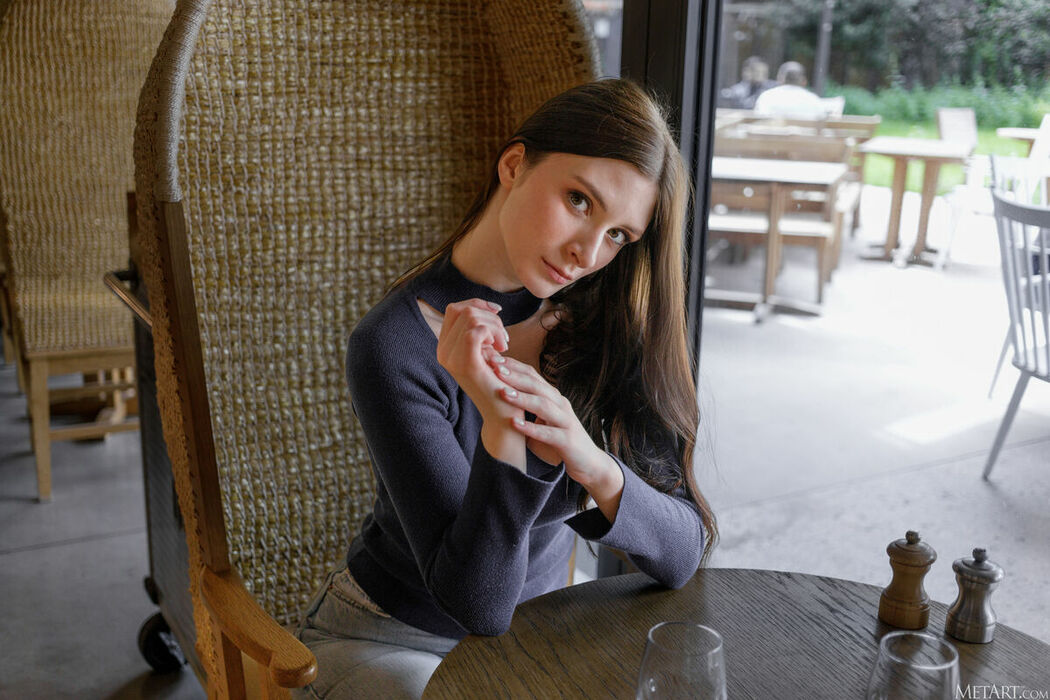 MetArt Marion Summers – Persuading Part01 (64P)