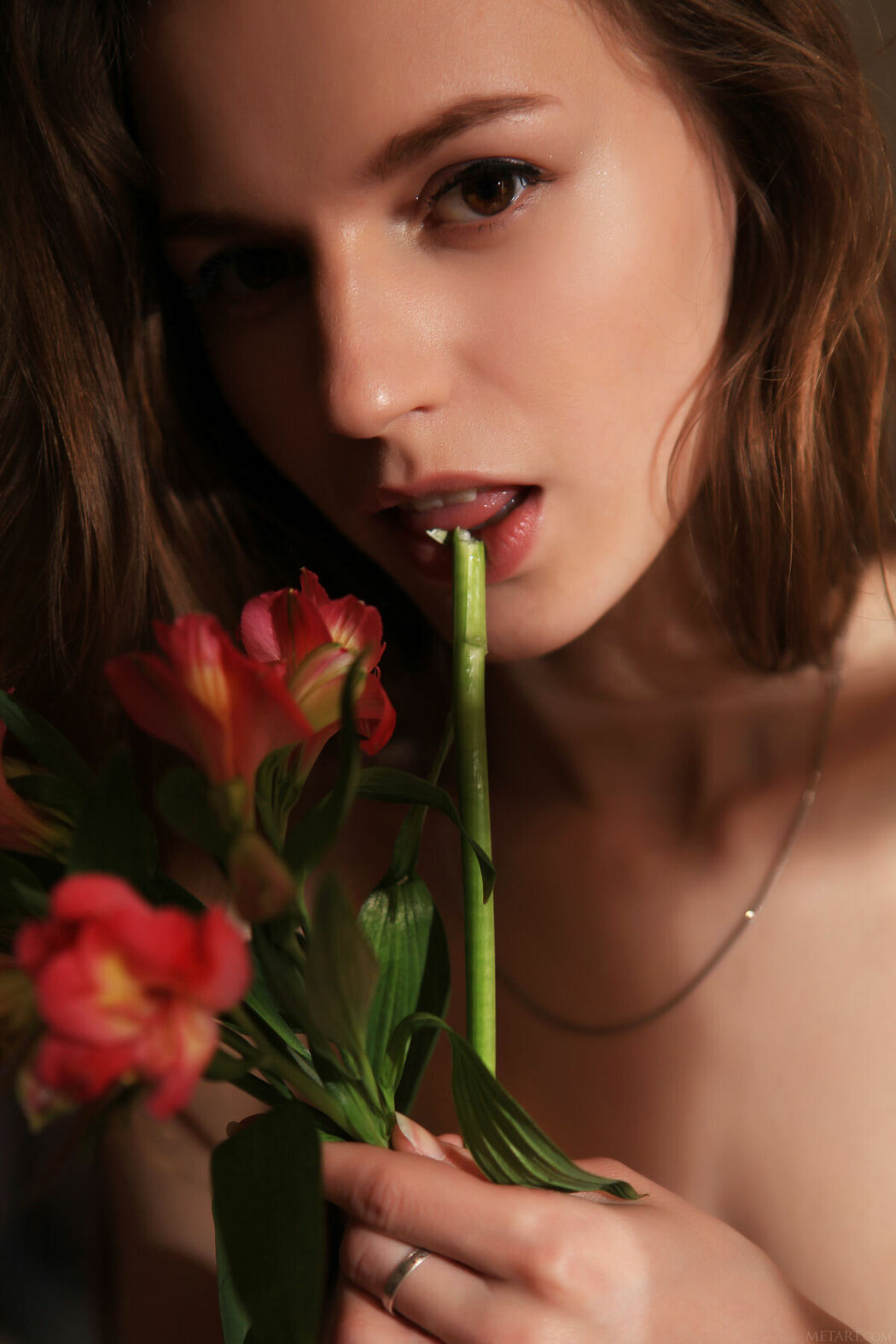 MetArt Sofi Shane – Obetta (82P)