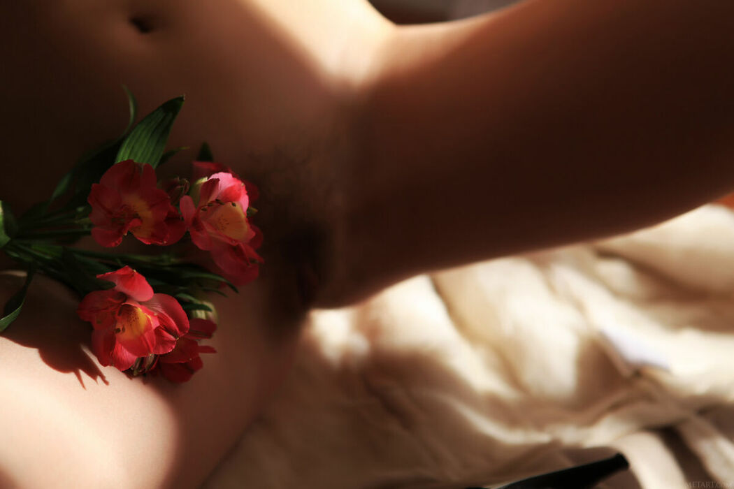 MetArt Sofi Shane – Obetta (82P)