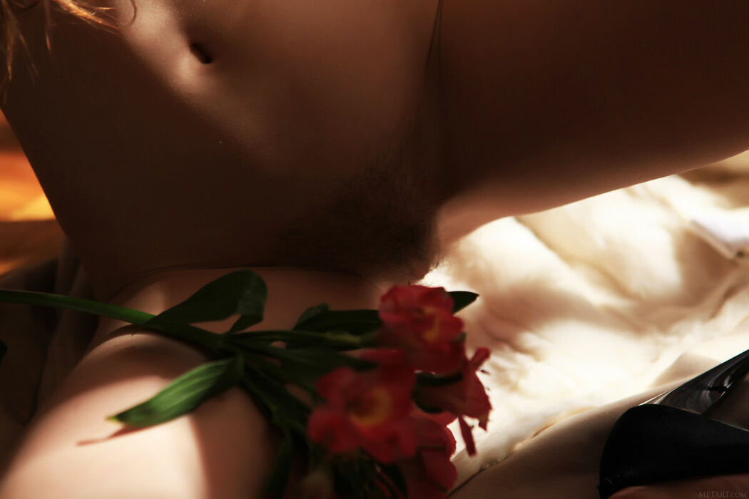 MetArt Sofi Shane – Obetta (82P)