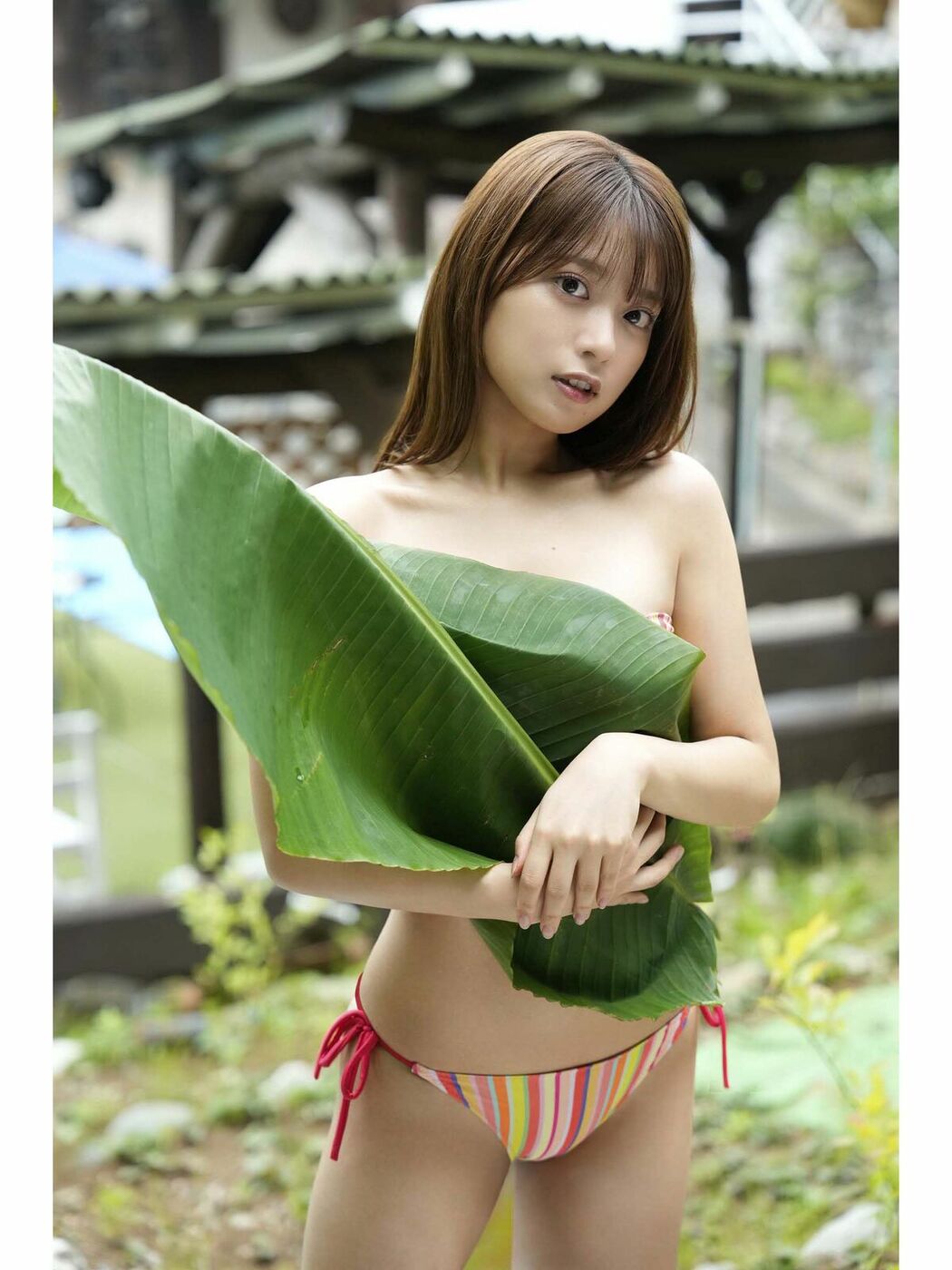 JP Marupi まるぴ – デジタル写真集 まるぴ観察日記 デジタルブルグラ (38P)