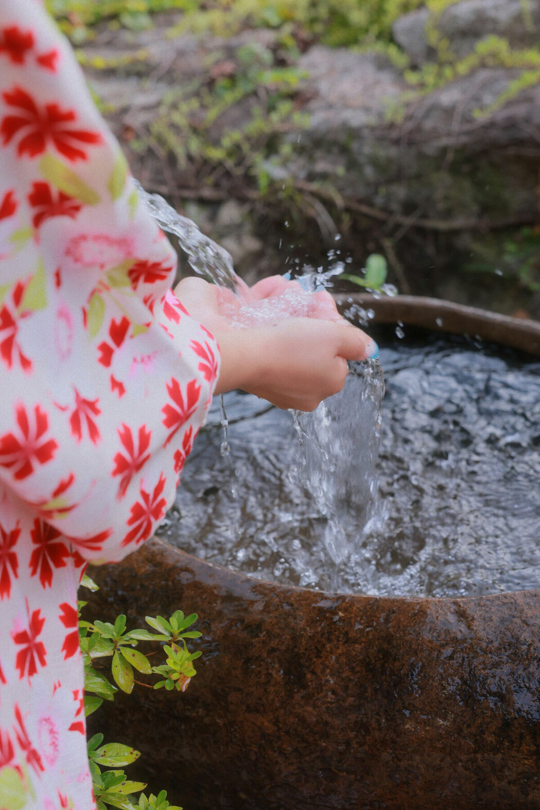 SWEETBOx Coco &ndash; Nijimori (71P &ndash; 2V)