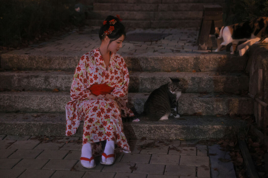 SWEETBOx Coco &ndash; Nijimori (71P &ndash; 2V)