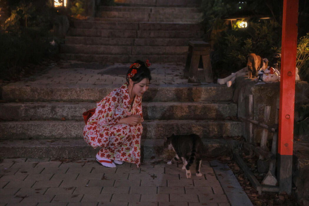 SWEETBOx Coco &ndash; Nijimori (71P &ndash; 2V)