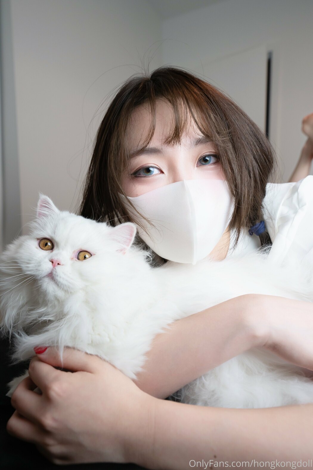 hongkongdoll