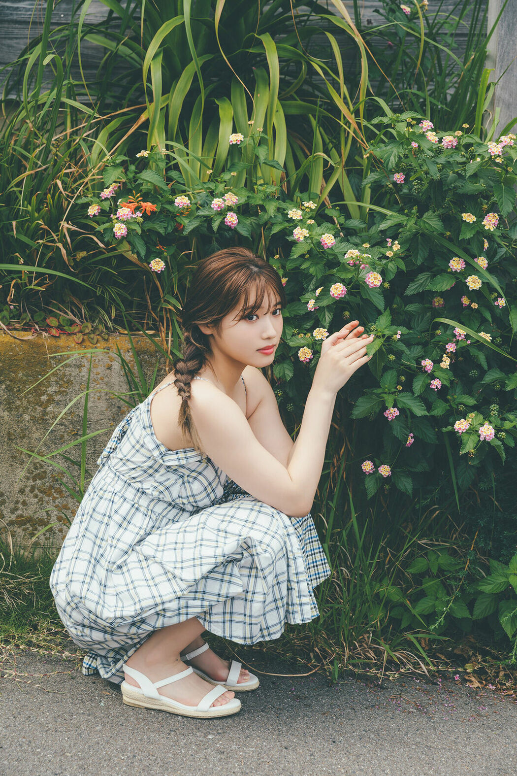 JP Airi Furuta 古田愛理 – FLASHデジタル写真集 夏恋センチメンタル (70P)