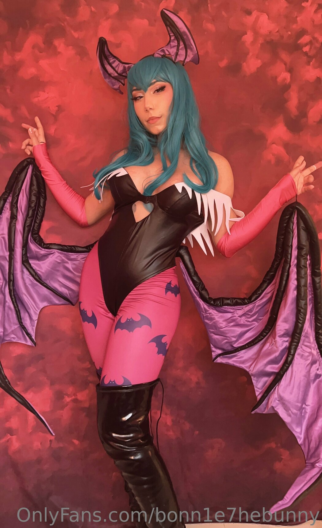 bonn1e7hebunny