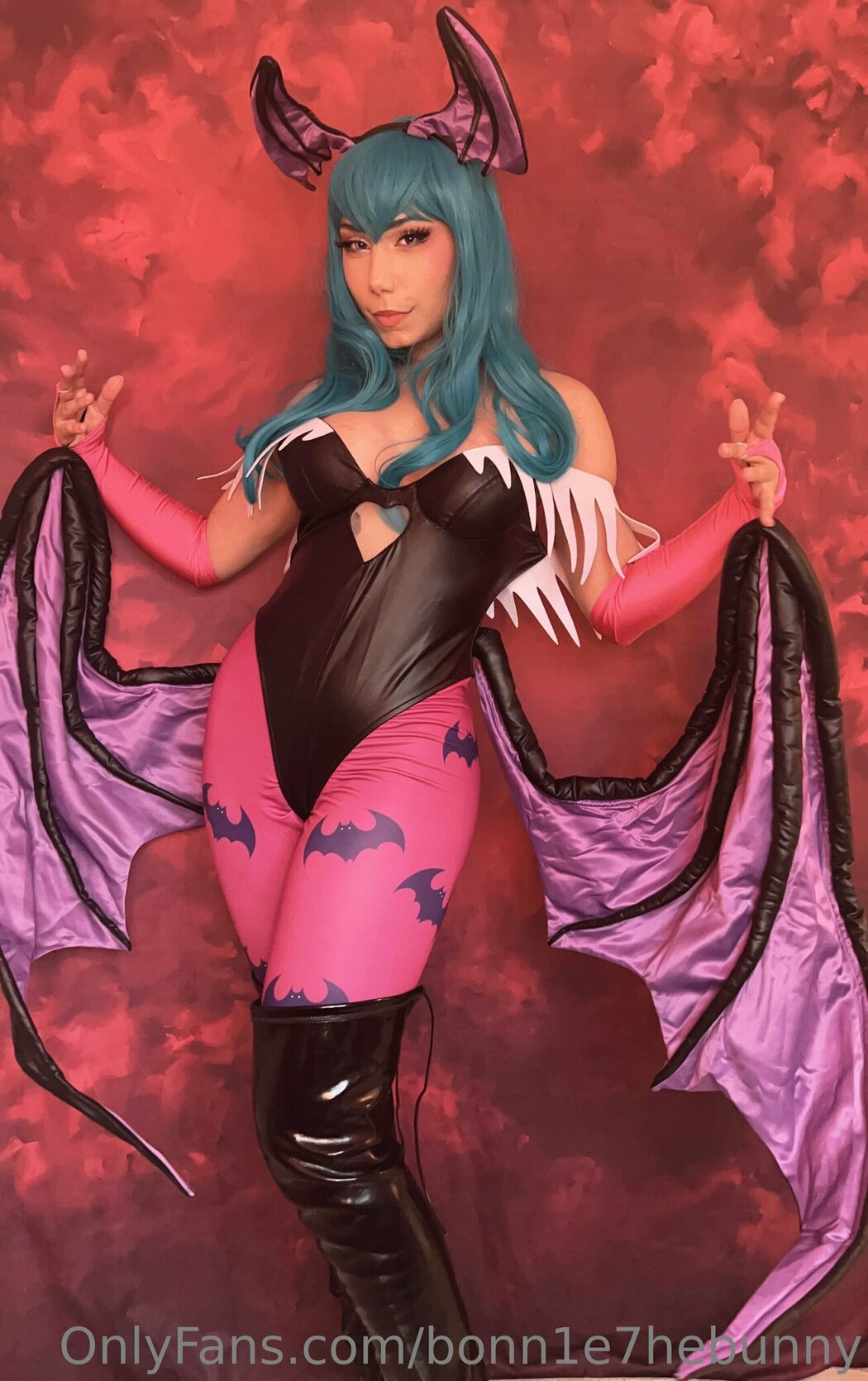 bonn1e7hebunny