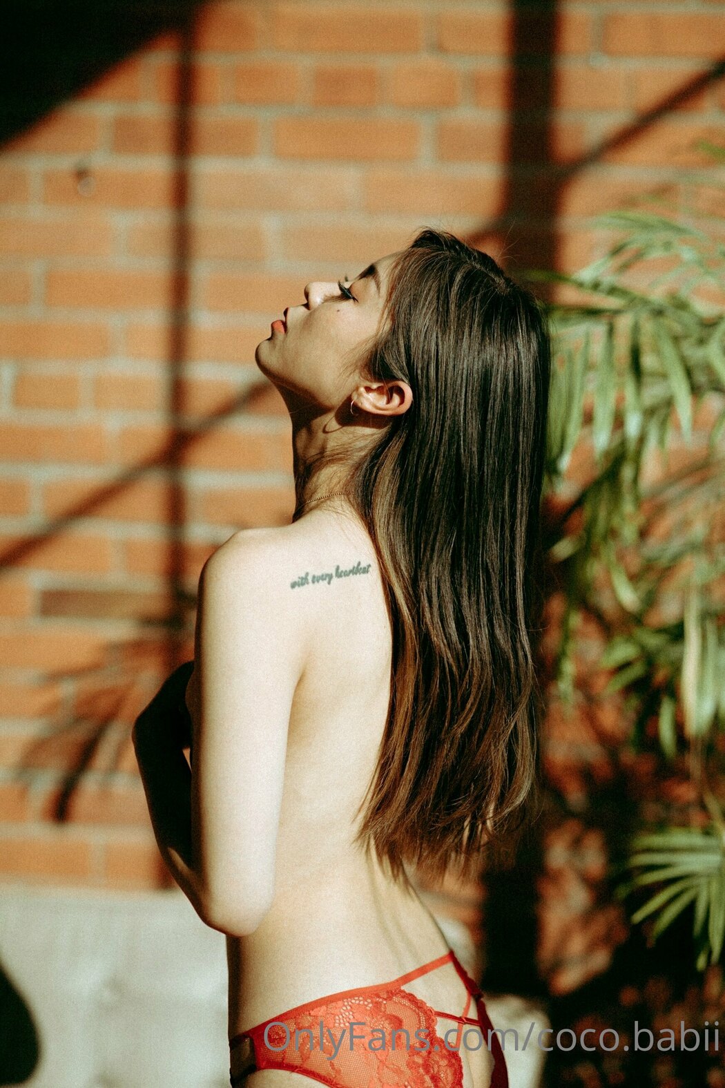 coco.babii