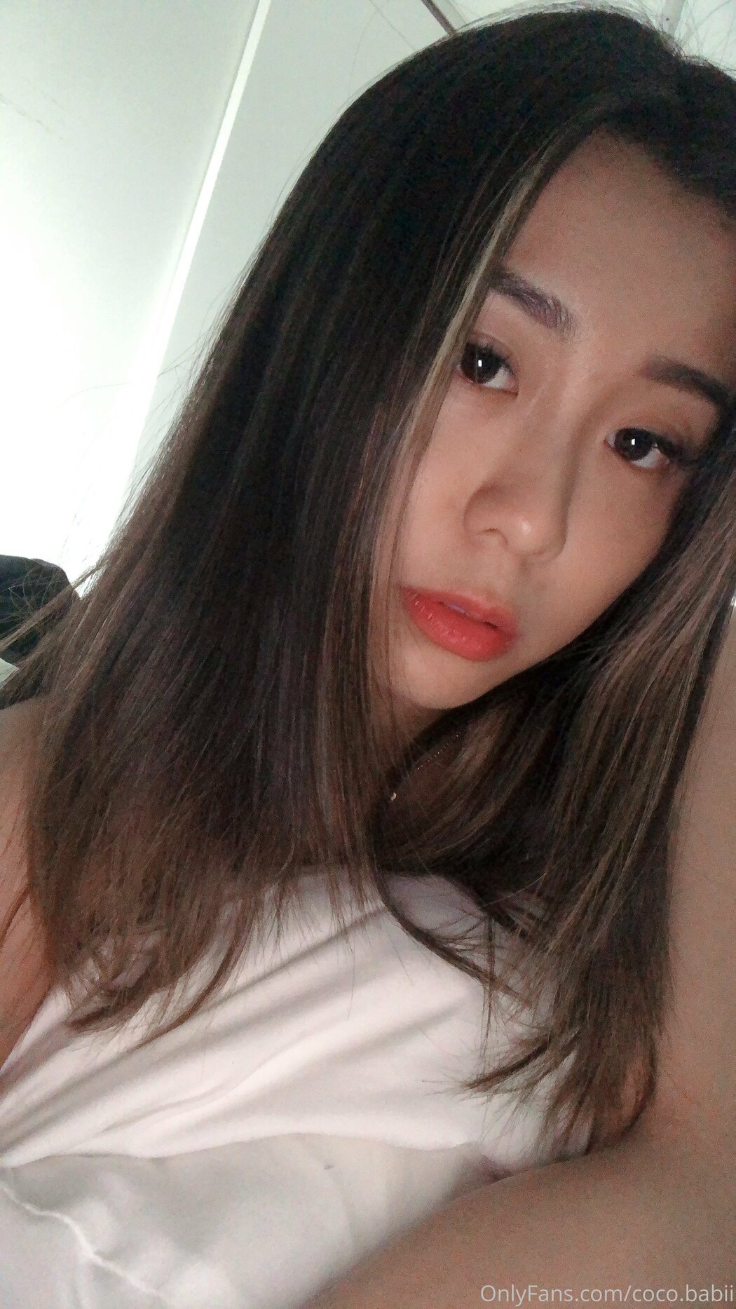 coco.babii