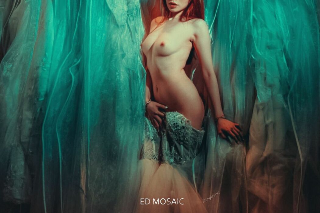 ED Mosaic 追蹤就有福利照 名器合集 Part02 (70P)