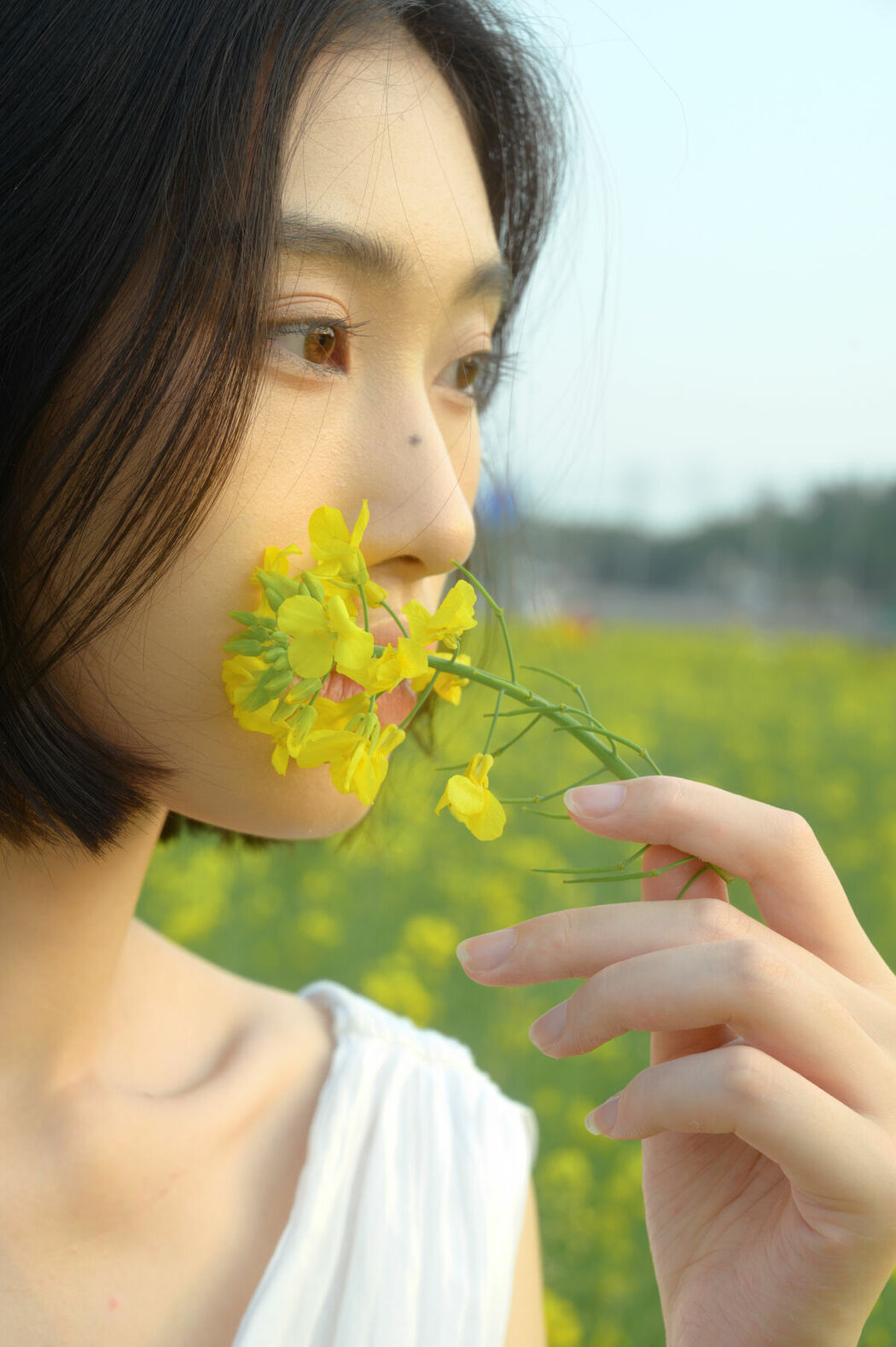 YiTuYu艺图语 Vol.10186 Xin Jie (33P)