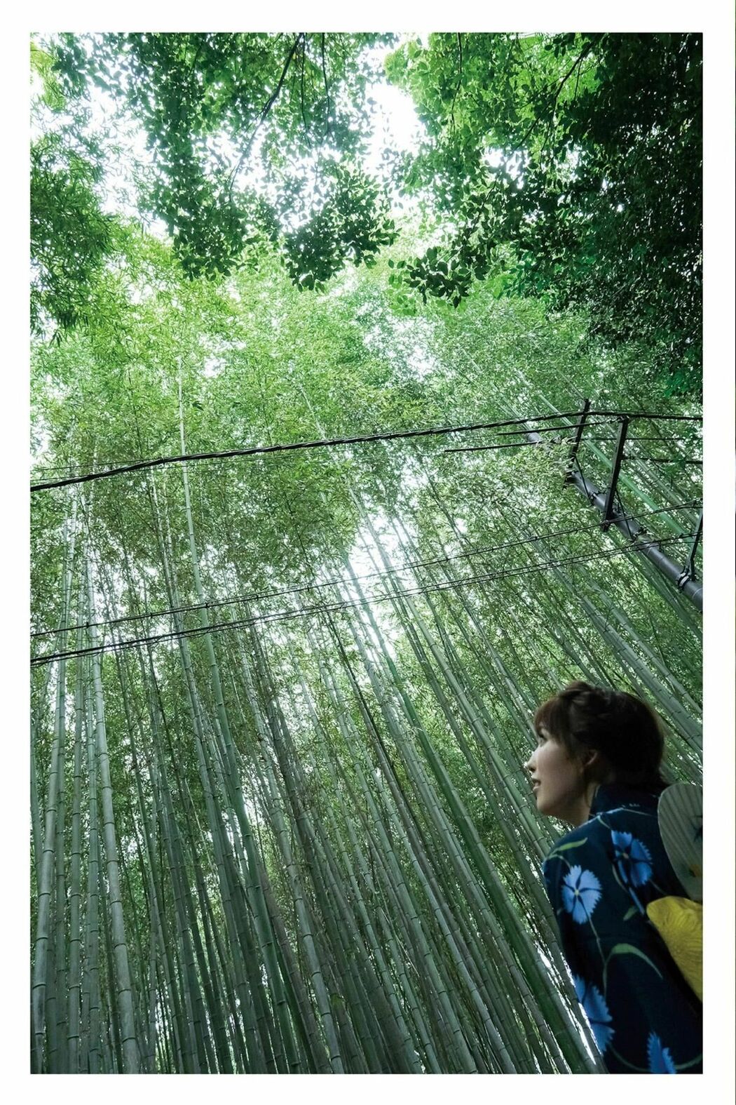 JP Shiori Tokunaga 徳永しおり – Travel Guide 旅のしおり (78P)