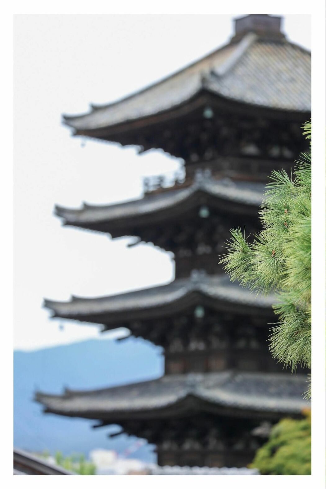 JP Shiori Tokunaga 徳永しおり – Travel Guide 旅のしおり (78P)
