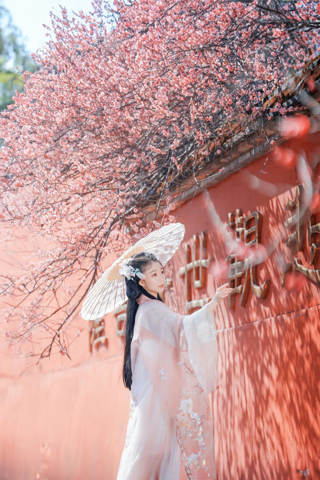 YiTuYu艺图语 Vol.10207 Qing Mo 07 (23P)