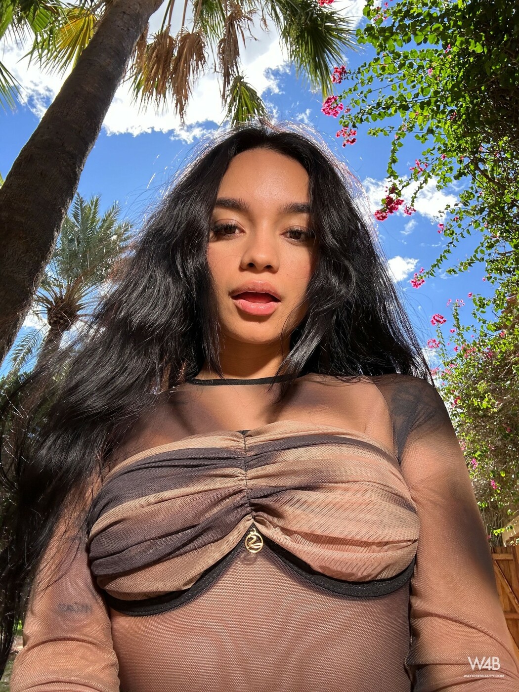 Dulce Whispering Secrets Poolside Under Palm Trees Shade