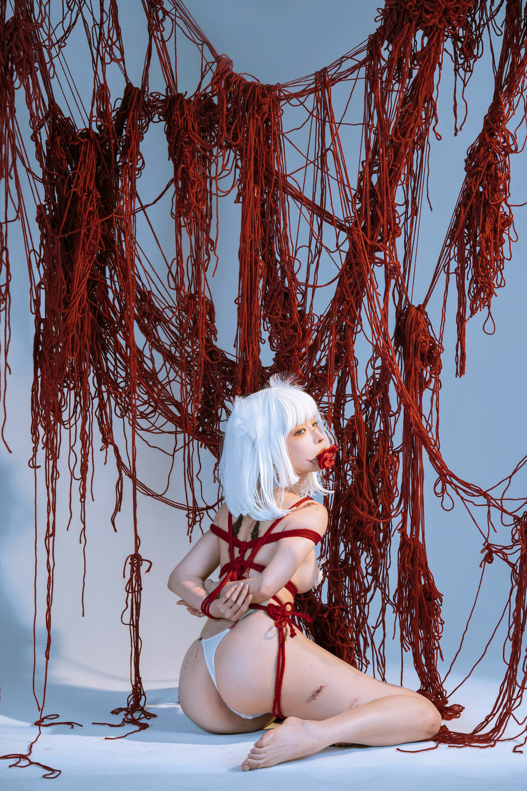 Coser@蠢沫沫 chunmomo – 折翼 (63P)