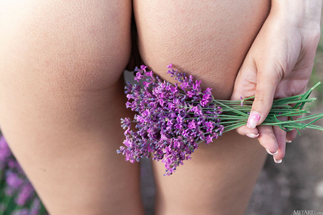 MetArt Sumiko – Lavender Fields Part02 (72P)