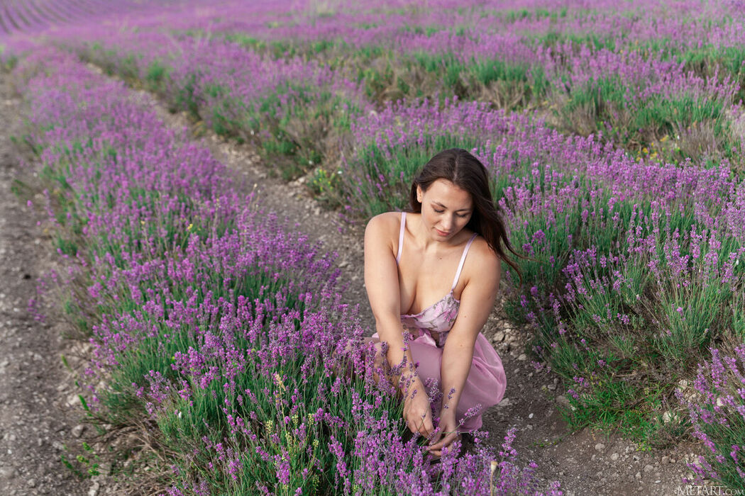 MetArt Sumiko – Lavender Fields Part01 (72P)