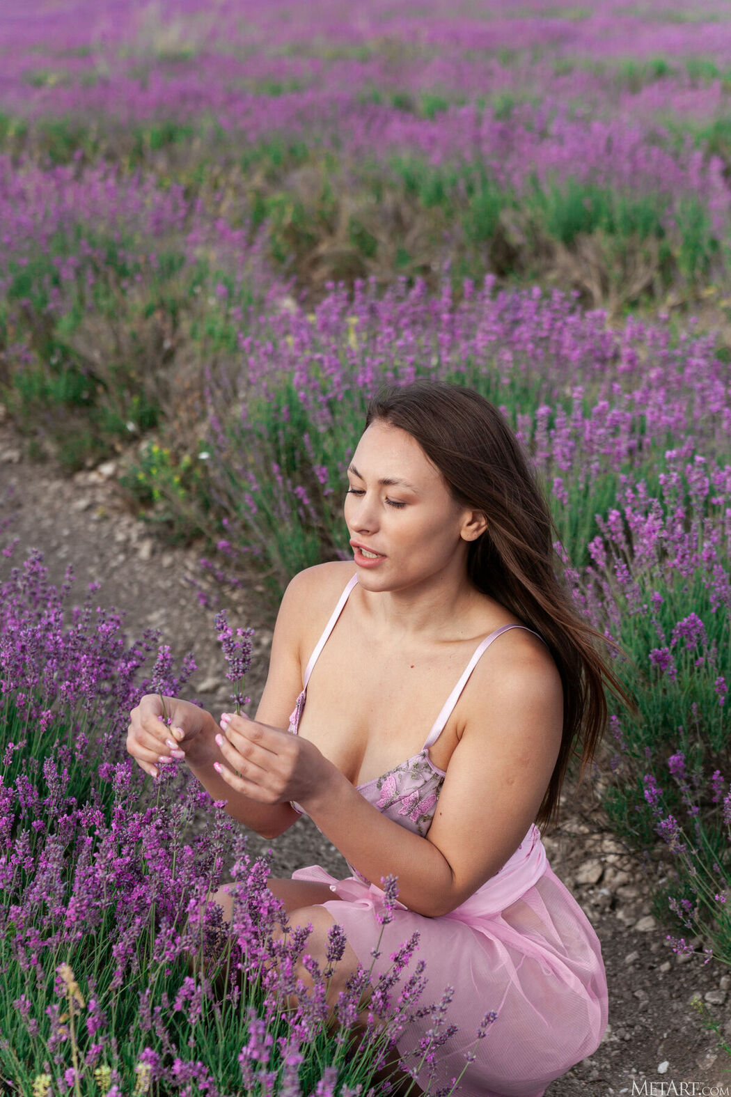 MetArt Sumiko – Lavender Fields Part01 (72P)