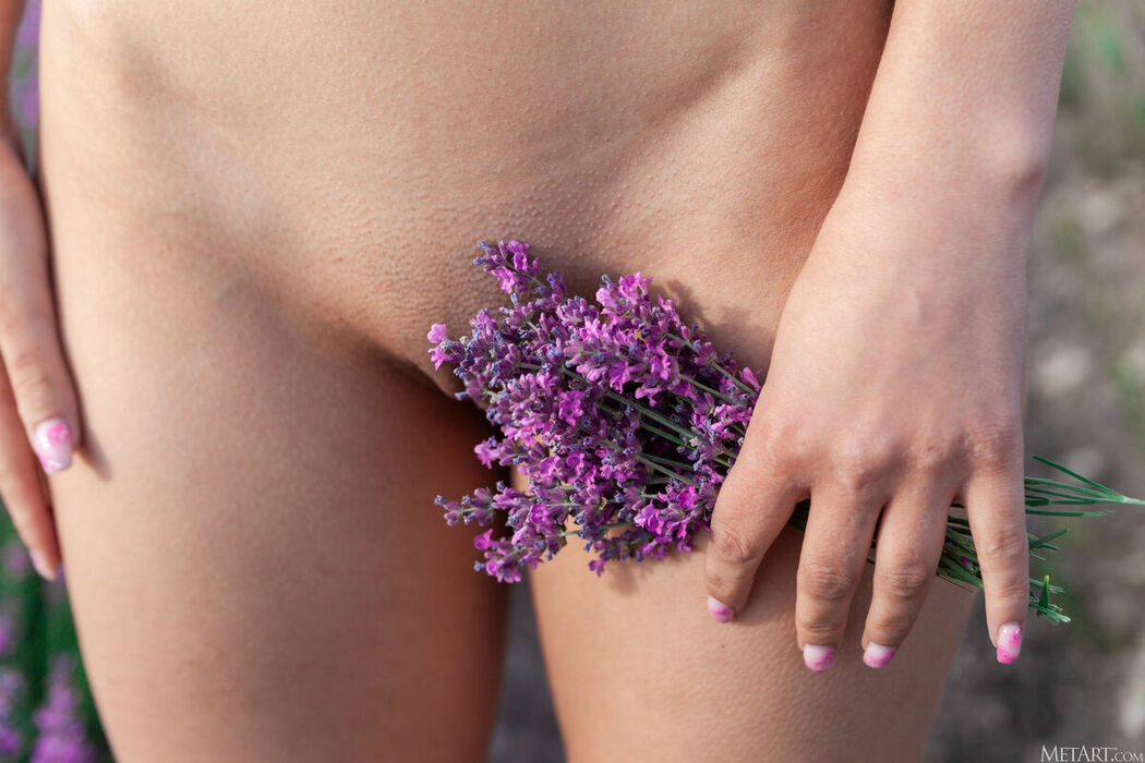 MetArt Sumiko – Lavender Fields Part02 (72P)
