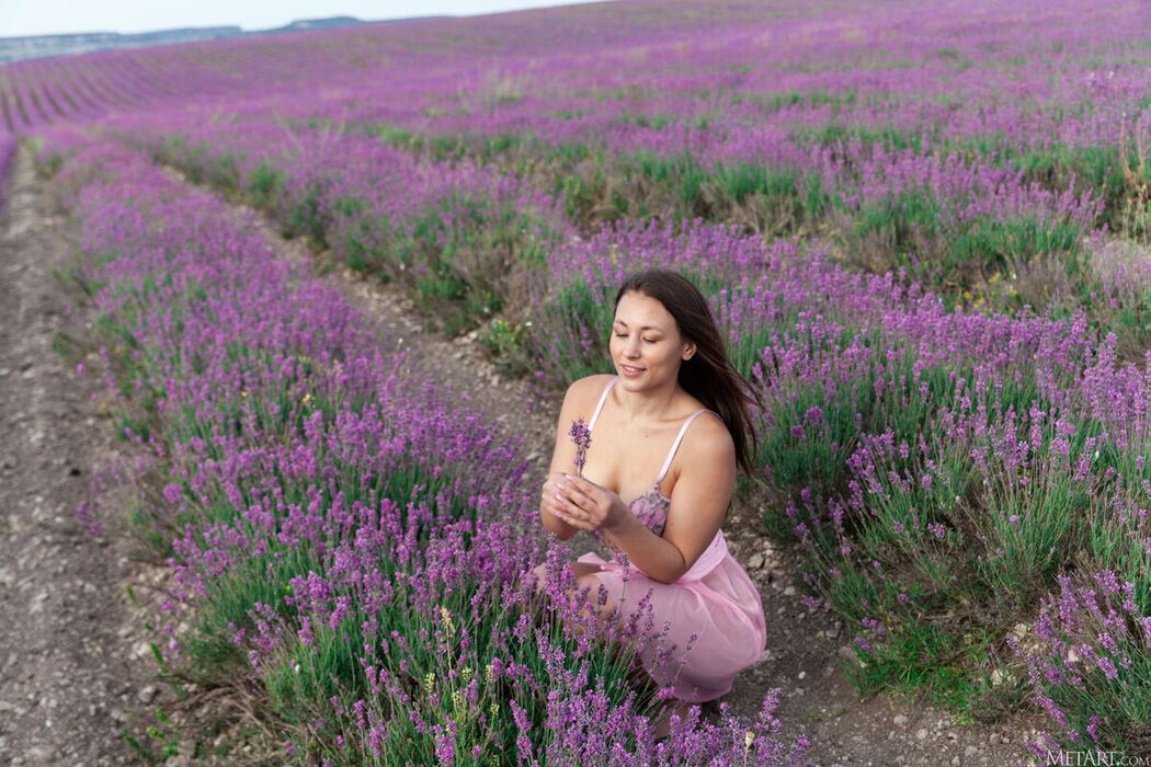 MetArt Sumiko – Lavender Fields Part01 (72P)