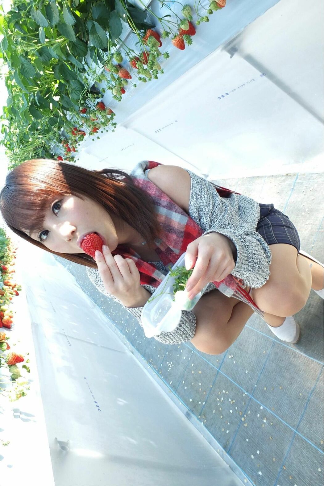 JP Syunka Ayami あやみ旬果 – SOFT EDITION No.01 Part01 (74P)