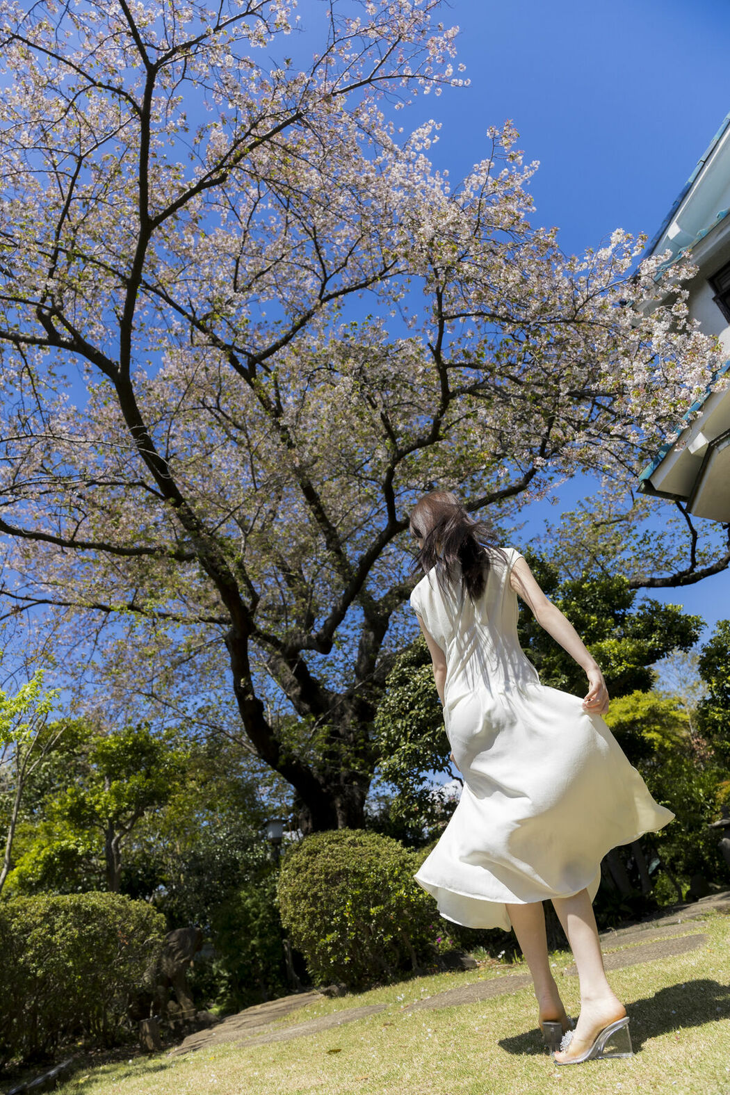 JP Emika Shirakami 白上咲花 – 写真集 百花繚乱 Part02 (52P)