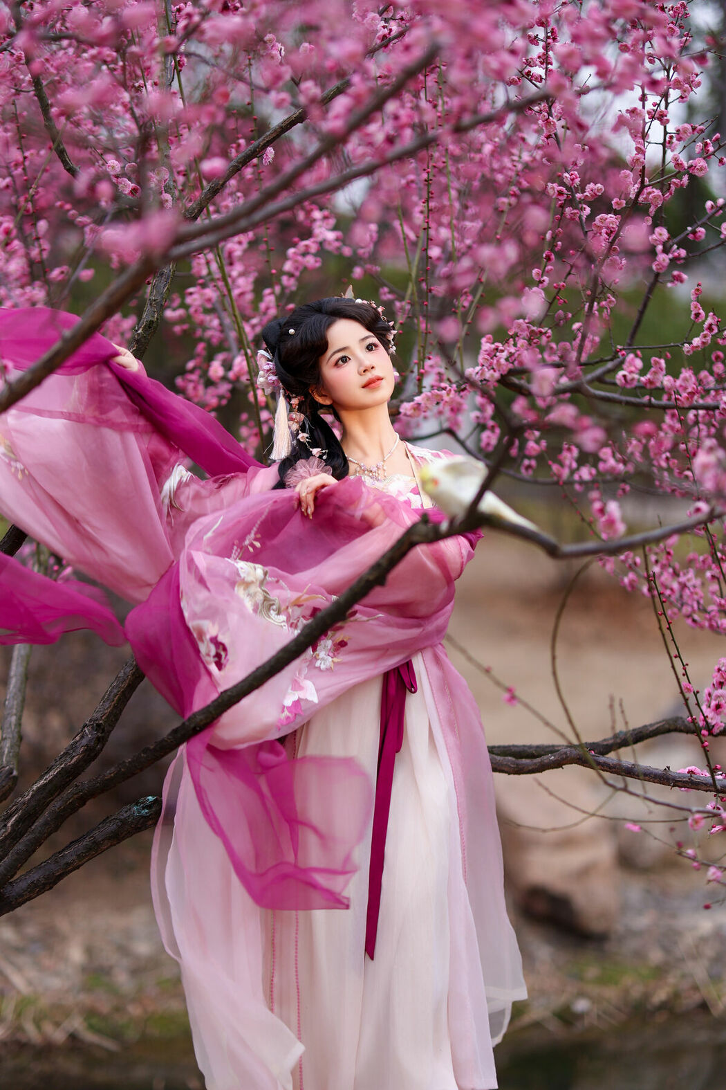 YiTuYu艺图语 Vol.9473 Xiao Du Tong Xue (34P)