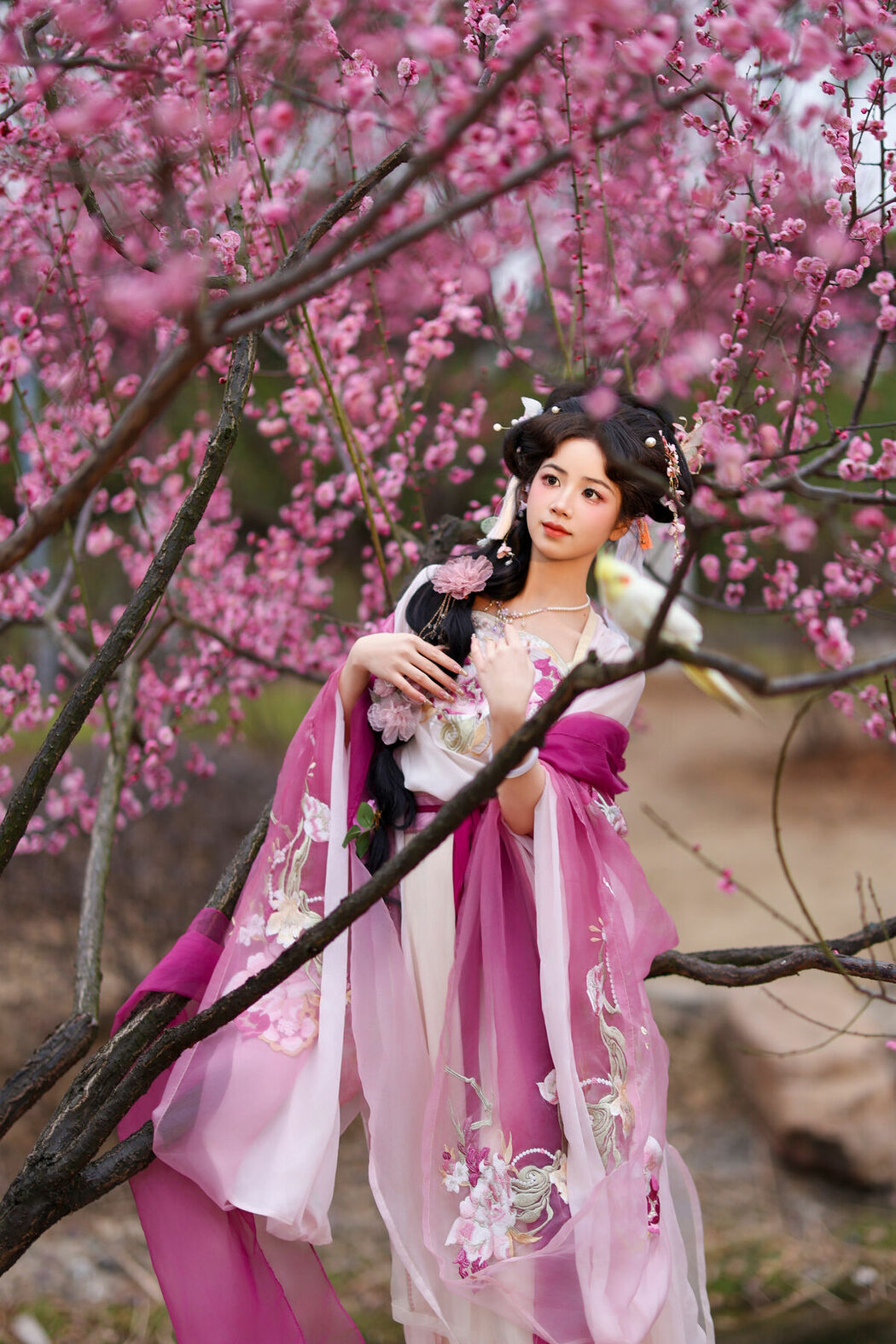 YiTuYu艺图语 Vol.9473 Xiao Du Tong Xue (34P)