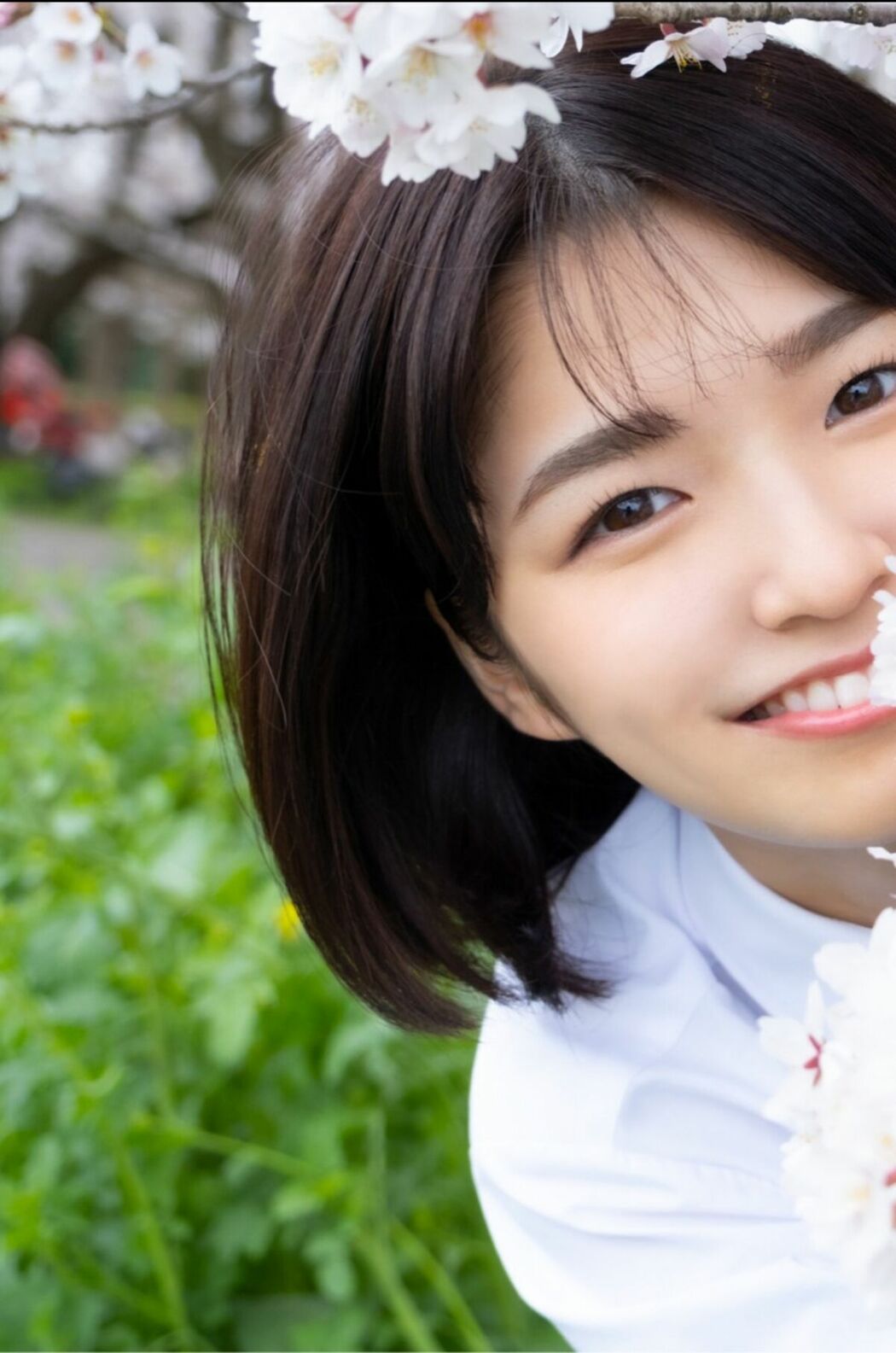 JP Sumire Kuramoto 倉本すみれ – Youth Aoharu 青春アオハル (100P)