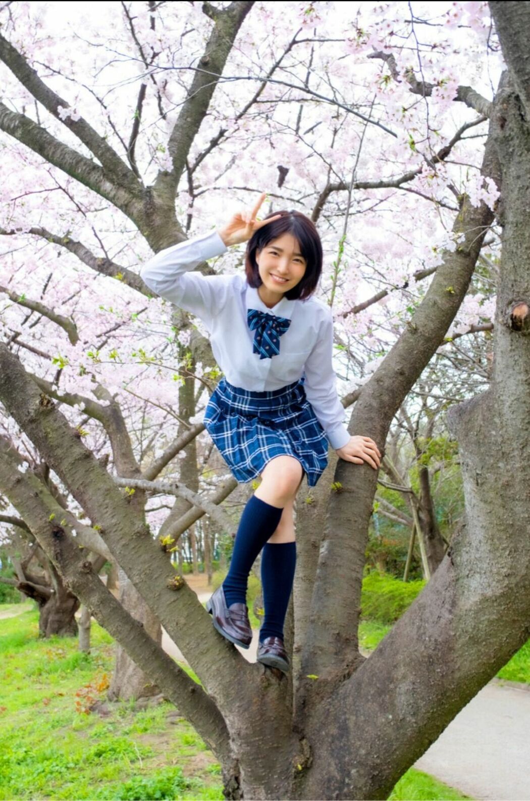 JP Sumire Kuramoto 倉本すみれ – Youth Aoharu 青春アオハル (100P)