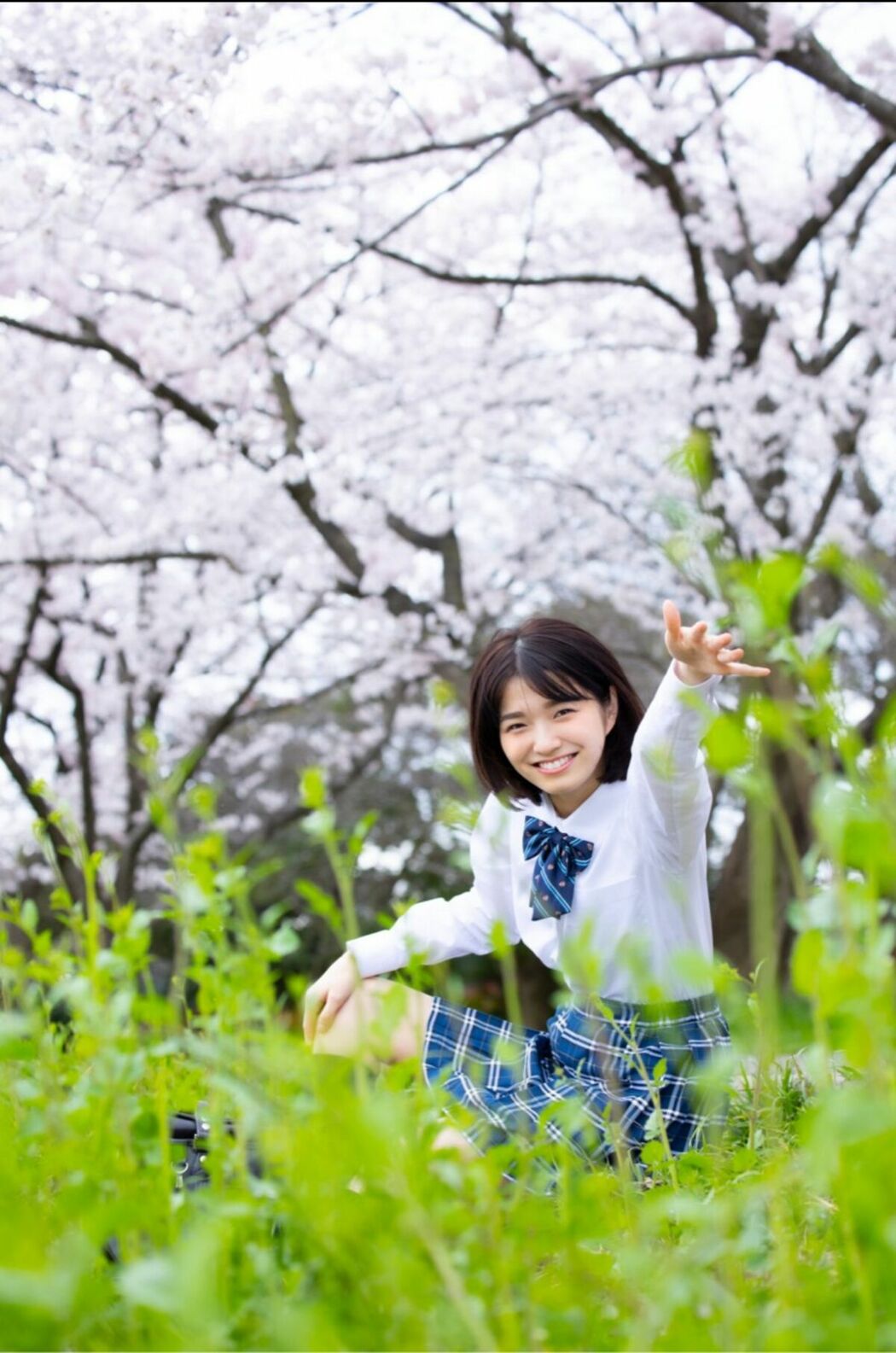 JP Sumire Kuramoto 倉本すみれ – Youth Aoharu 青春アオハル (100P)