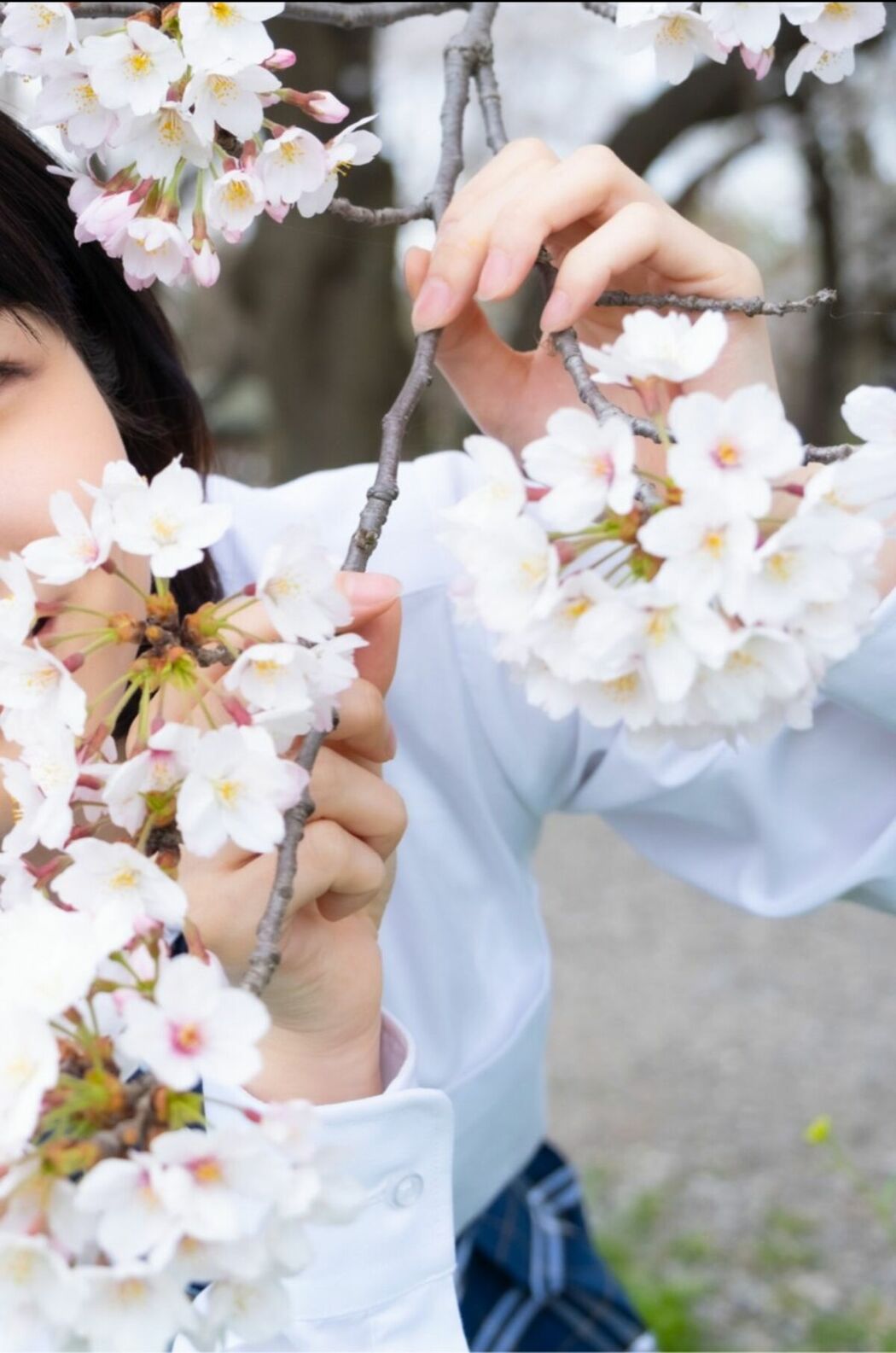 JP Sumire Kuramoto 倉本すみれ – Youth Aoharu 青春アオハル (100P)