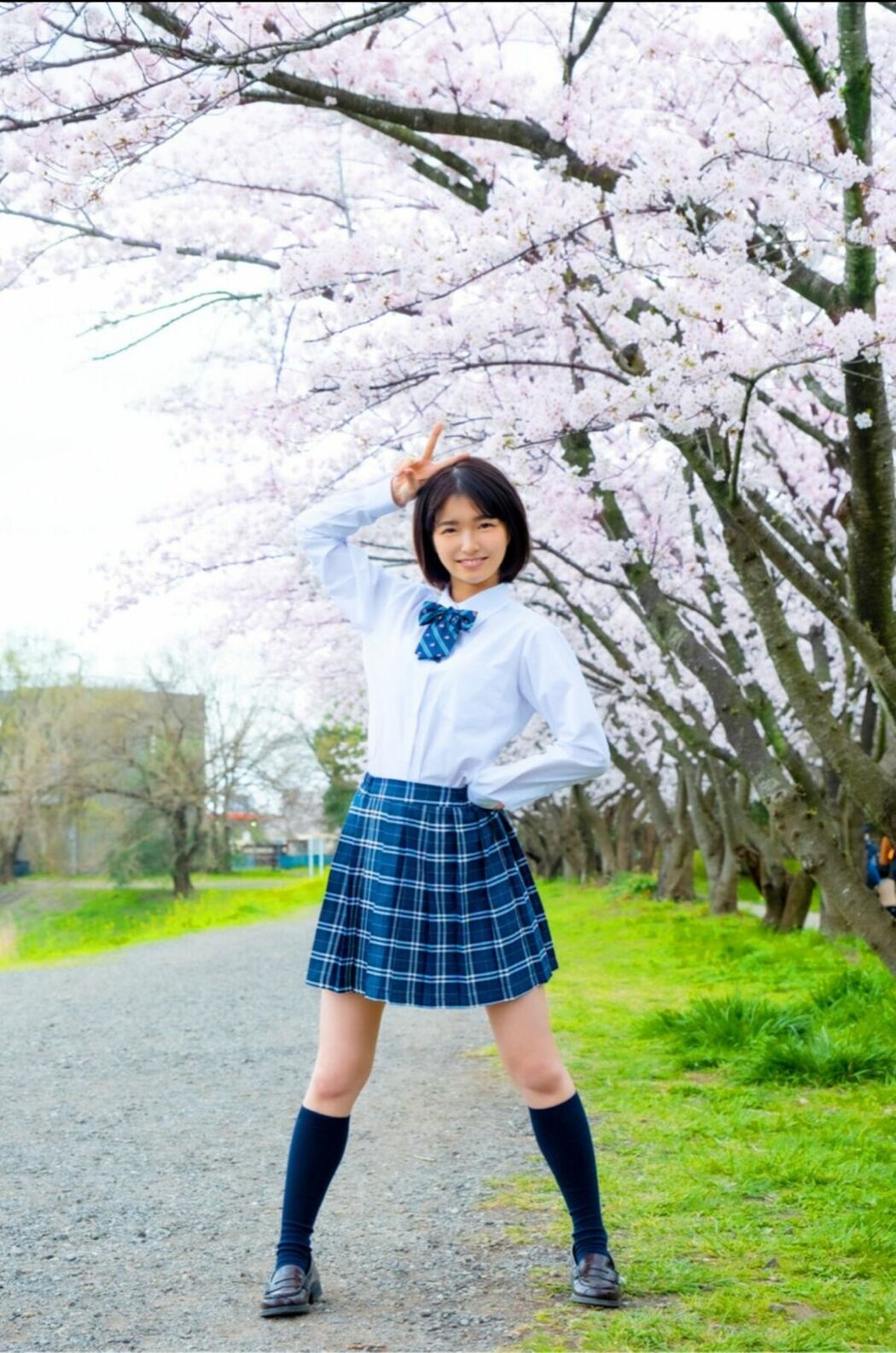 JP Sumire Kuramoto 倉本すみれ – Youth Aoharu 青春アオハル (100P)