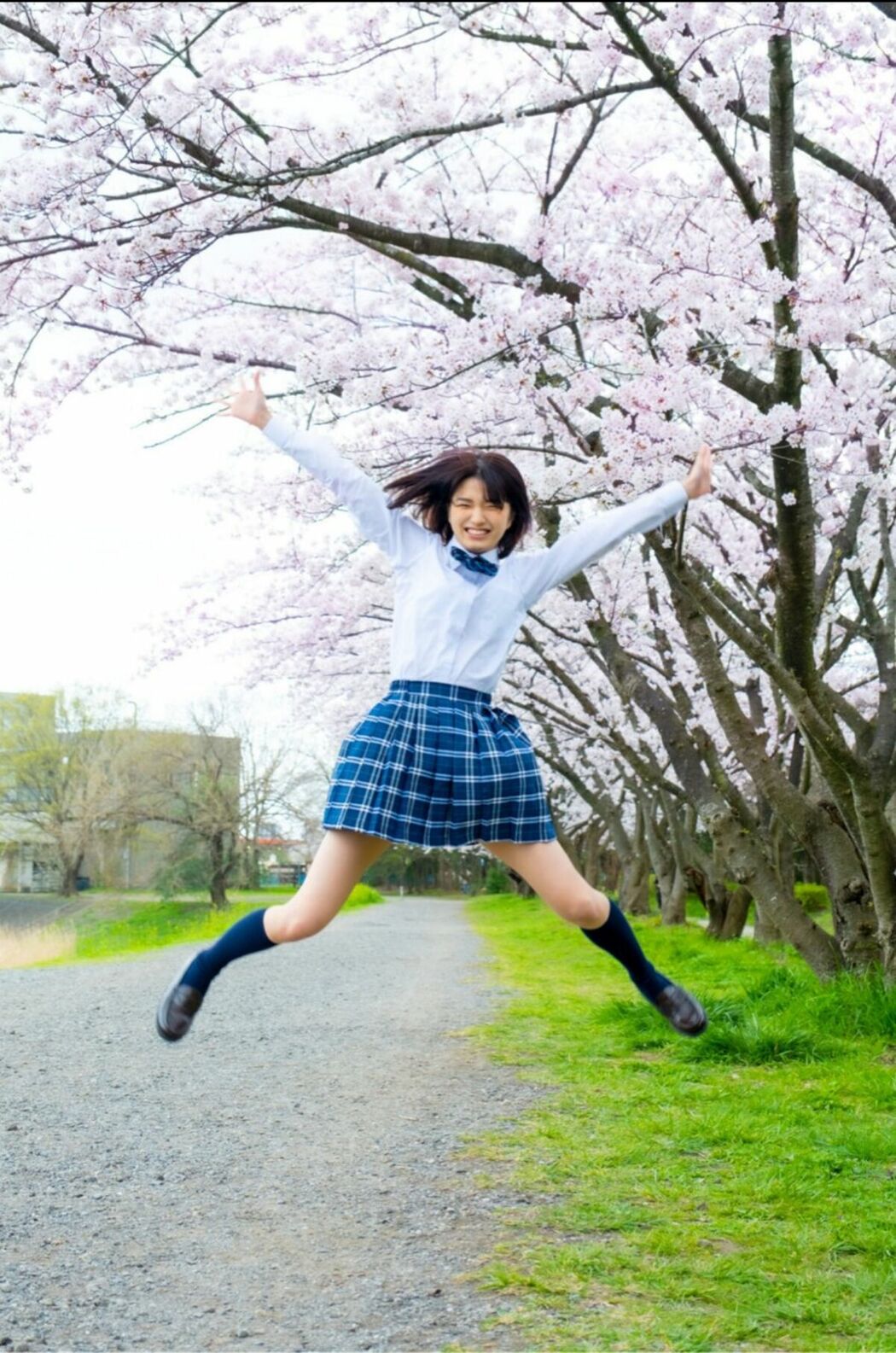 JP Sumire Kuramoto 倉本すみれ – Youth Aoharu 青春アオハル (100P)