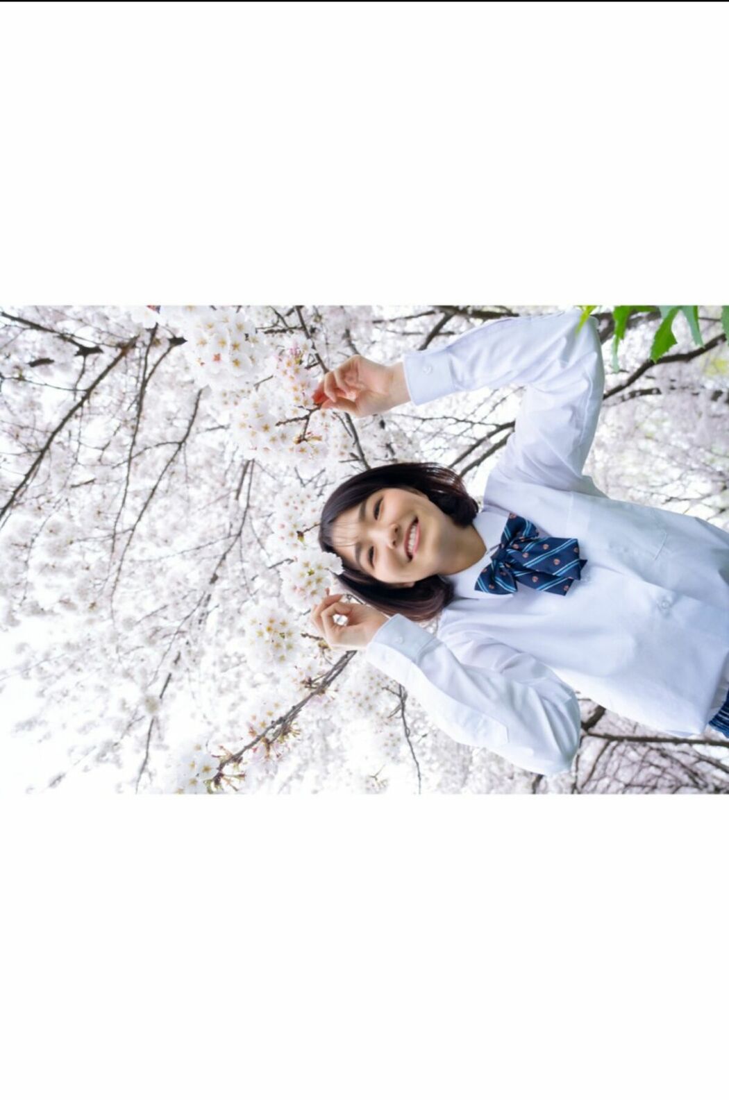 JP Sumire Kuramoto 倉本すみれ – Youth Aoharu 青春アオハル (100P)