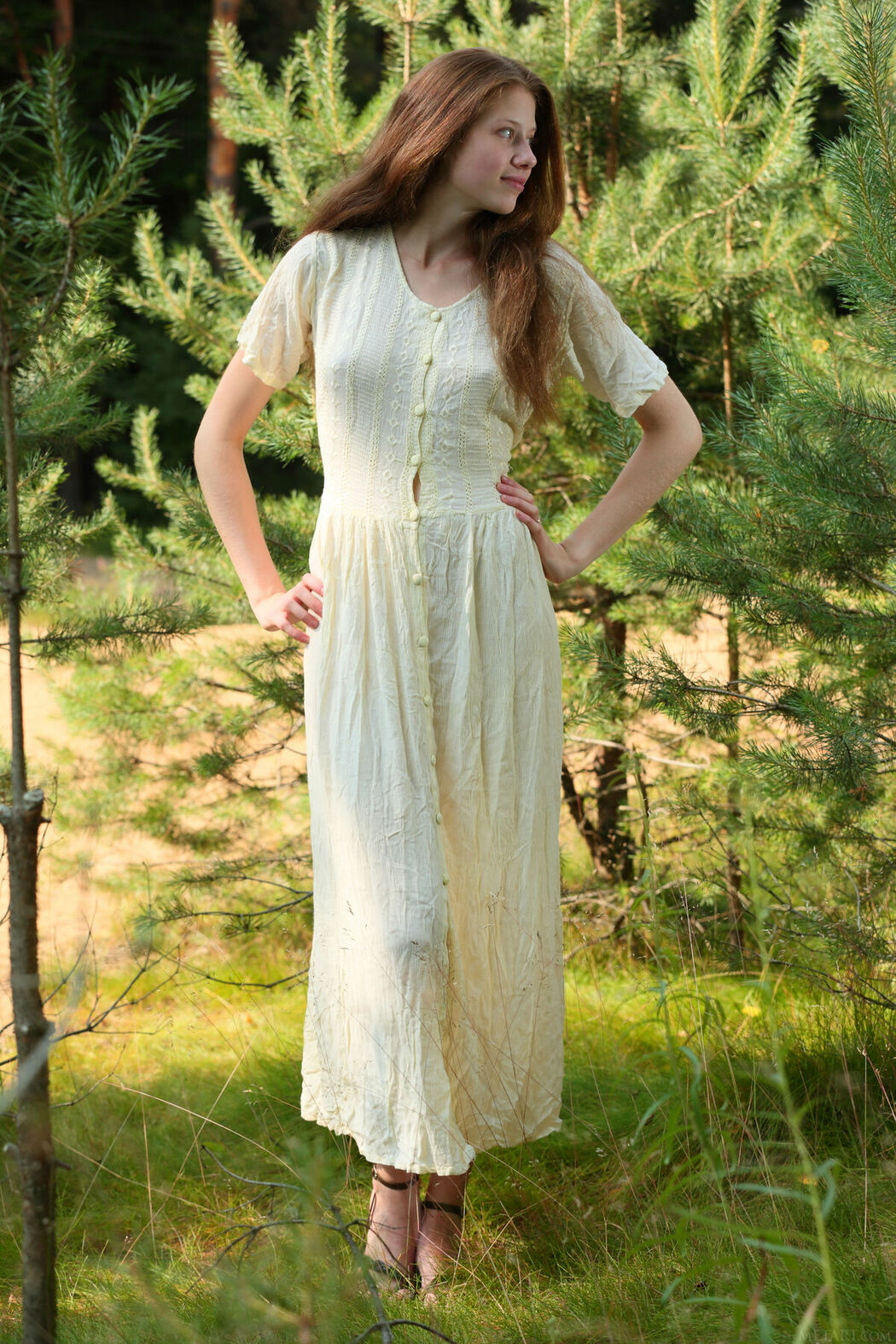 MetArt Nicole – Presenting Part01 (66P)