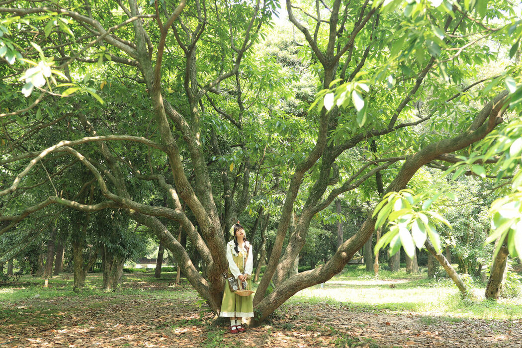 YiTuYu艺图语 Vol.9742 Wan Qi (15P)